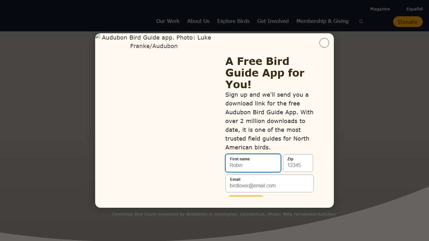 Join the Christmas Bird Count | Audubon