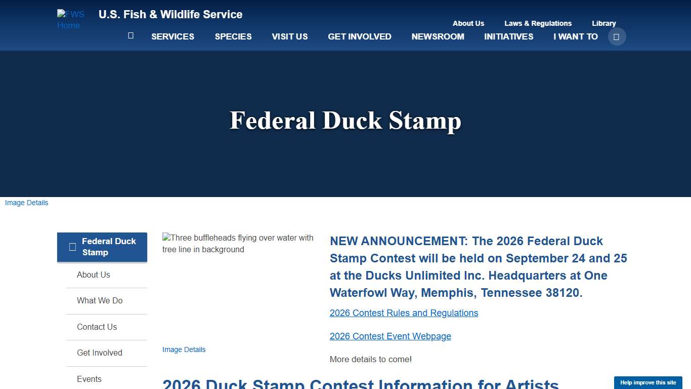 Federal Duck Stamp Contest & Event Information | U.S. Fish & Wildlife Service
